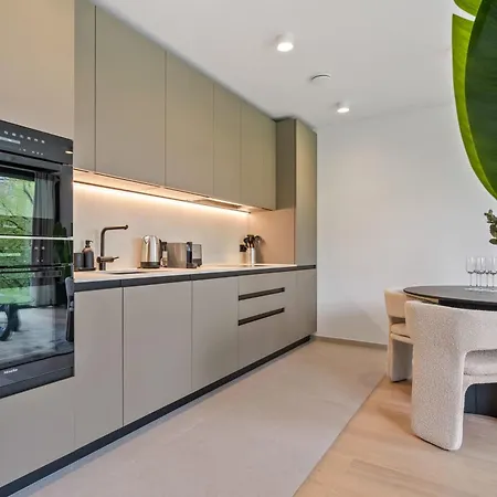 Luxury Downtown With Modern Amenities Apartment